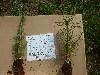 2003_0612_144057AA.jpg
